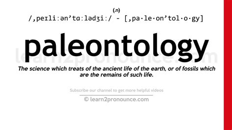 paleontology pronunciation definition.